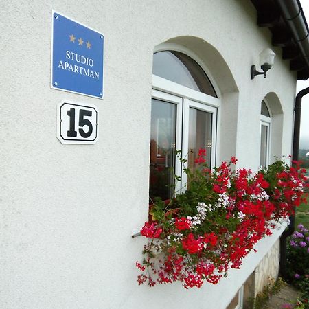 Apartments Zegarac House Korenica Bagian luar foto