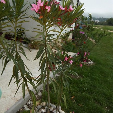 Apartments Zegarac House Korenica Bagian luar foto