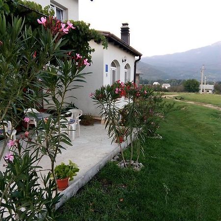 Apartments Zegarac House Korenica Bagian luar foto