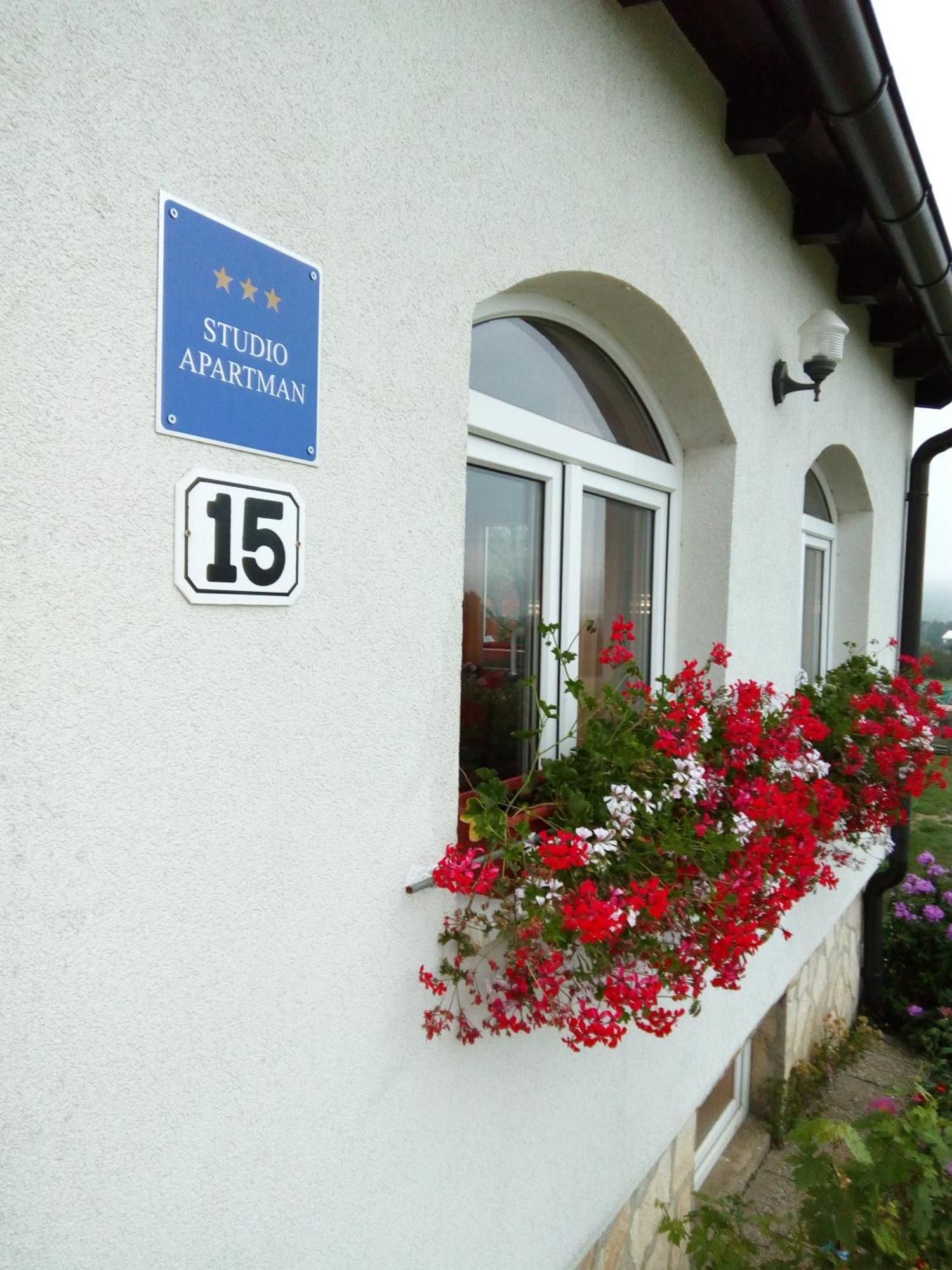 Apartments Zegarac House Korenica Bagian luar foto
